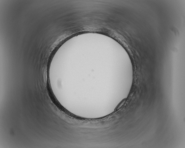 X0000113110011200909181638