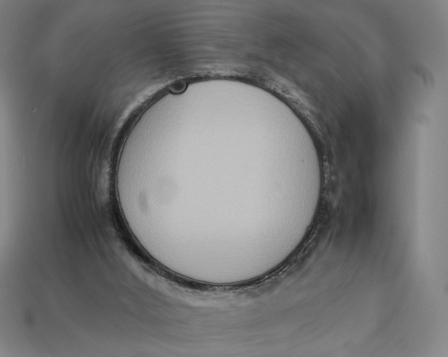 X0000113110012200909181638