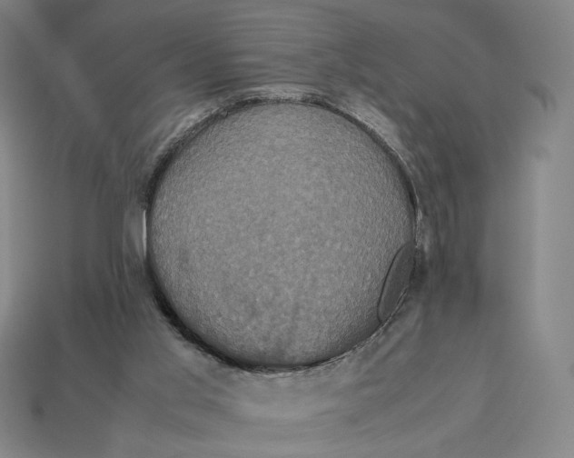 X0000113110013200909181638