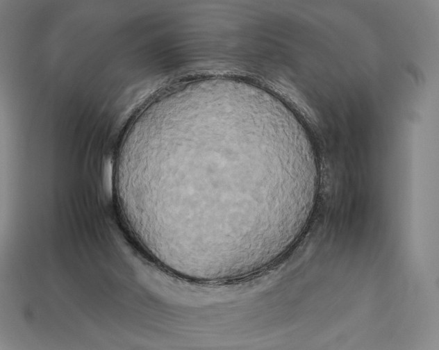 X0000113110014200909181637