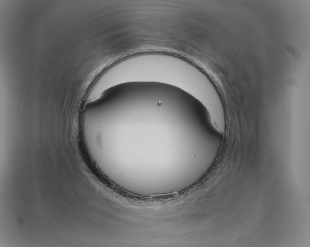 X0000113110015200909181637