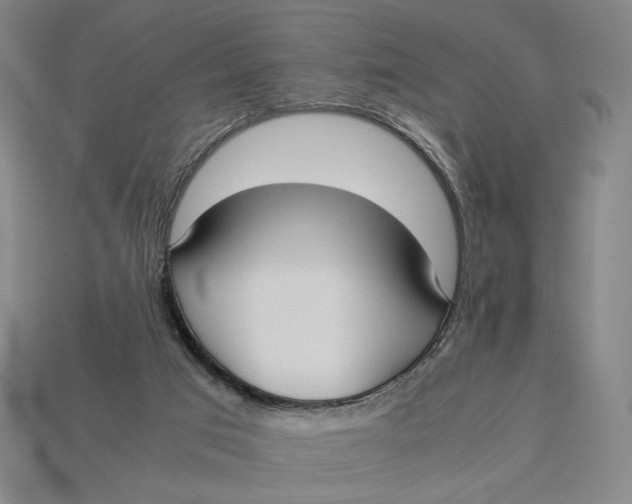 X0000113110017200909181637
