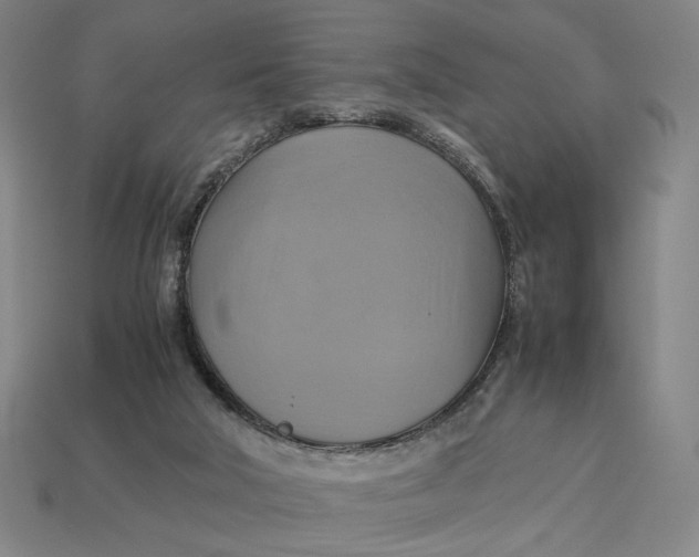 X0000113110018200909181637