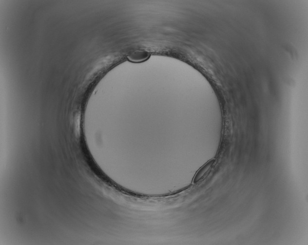 X0000113110019200909181637