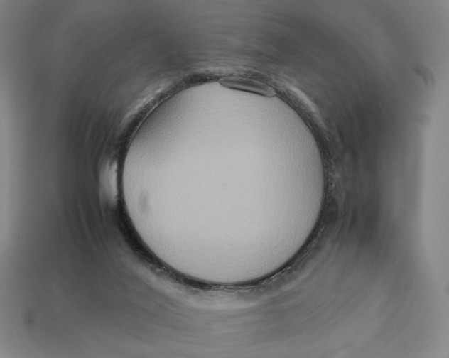 X0000113110020200909181637