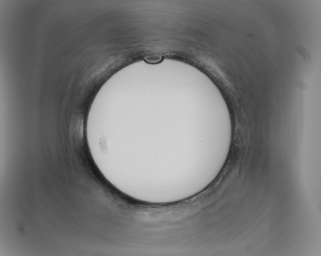 X0000113110021200909181637