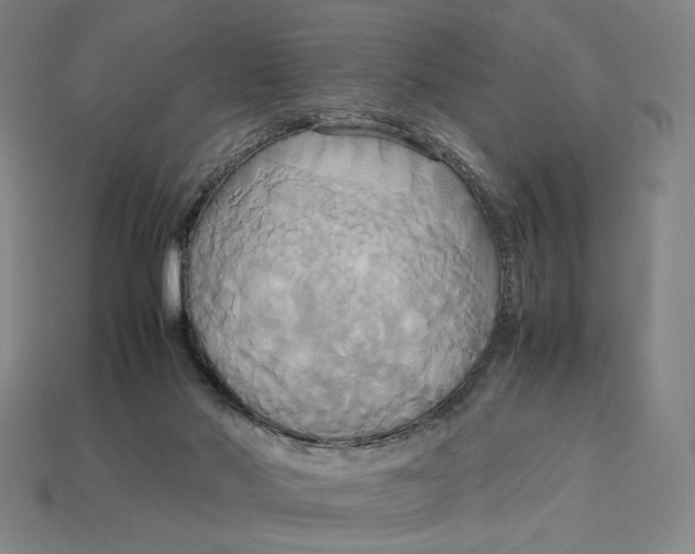 X0000113110022200909181637