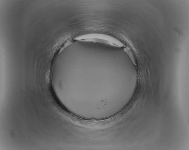 X0000113110023200909181637