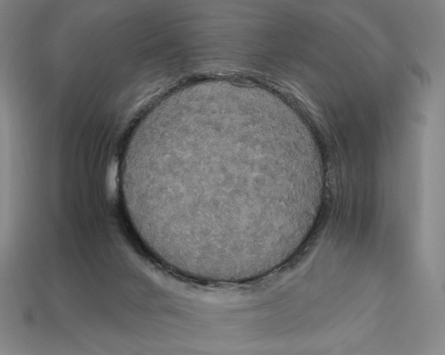 X0000113110024200909181637