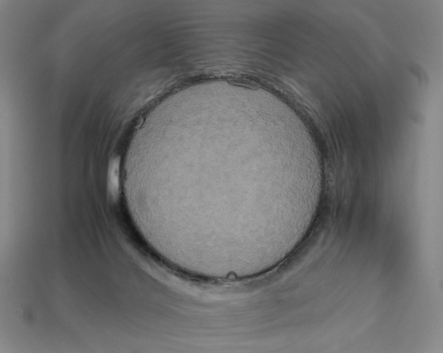 X0000113110028200909181637
