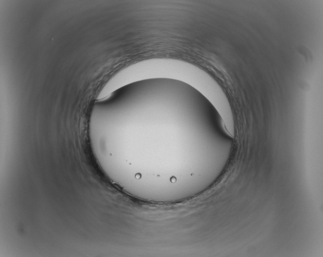 X0000113110029200909181637