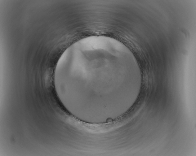 X0000113110030200909181637