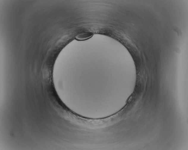 X0000113110031200909181637