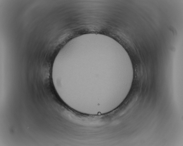X0000113110032200909181637