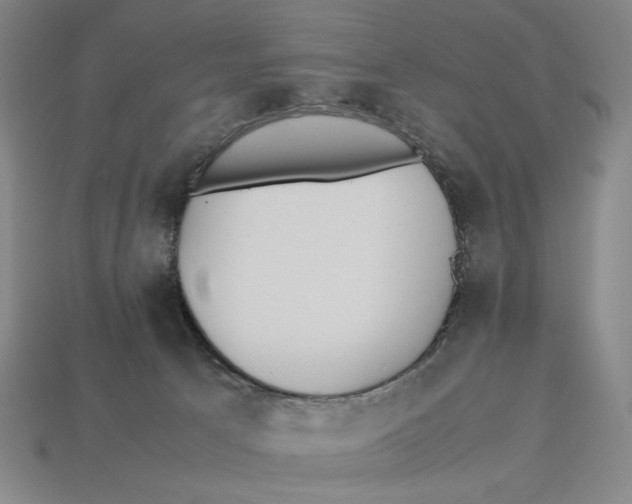 X0000113110033200909181637
