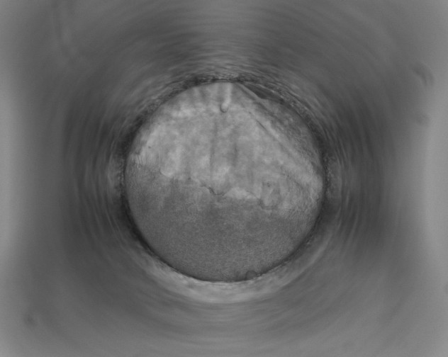 X0000113110034200909181637