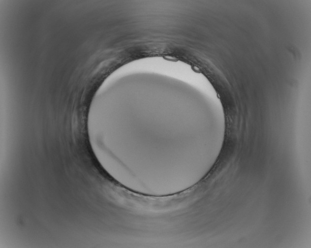 X0000113110035200909181637