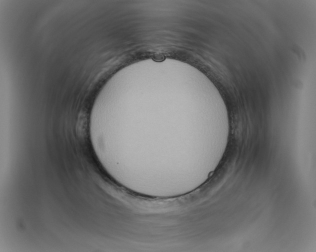 X0000113110036200909181637