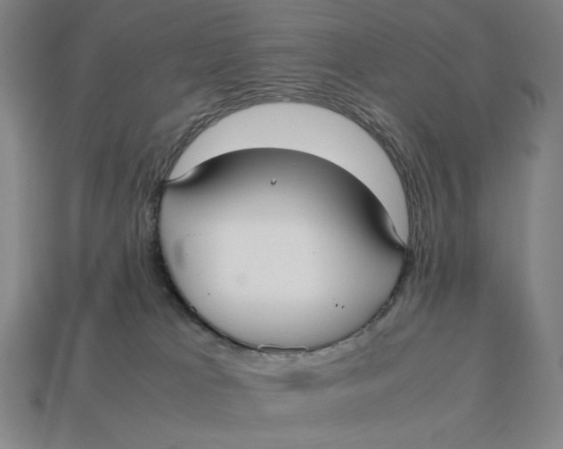 X0000113110037200909181637