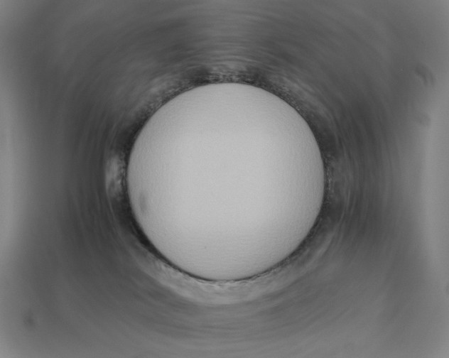 X0000113110038200909181637