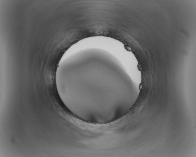 X0000113110039200909181637
