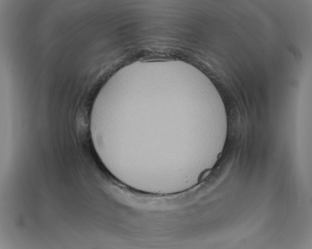X0000113110040200909181637