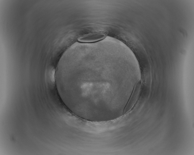 X0000113110041200909181637