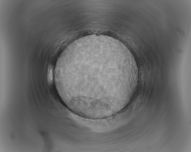 X0000113110042200909181637
