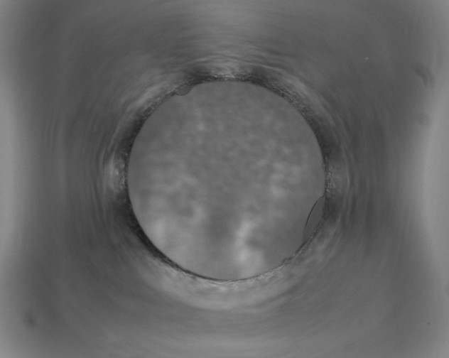 X0000113110043200909181637