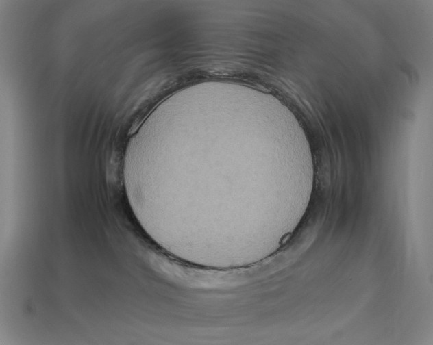 X0000113110044200909181637