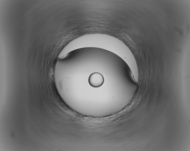 X0000113110045200909181637