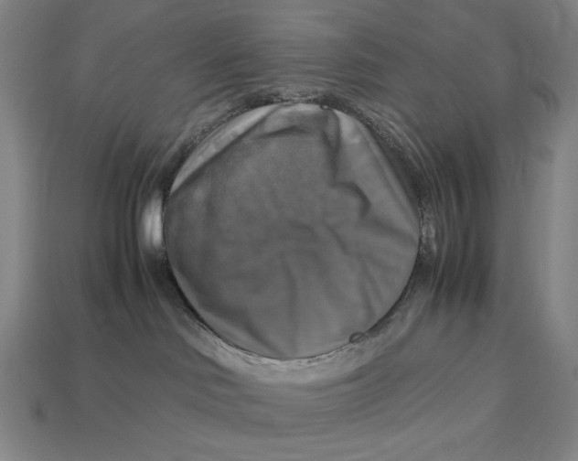 X0000113110046200909181637