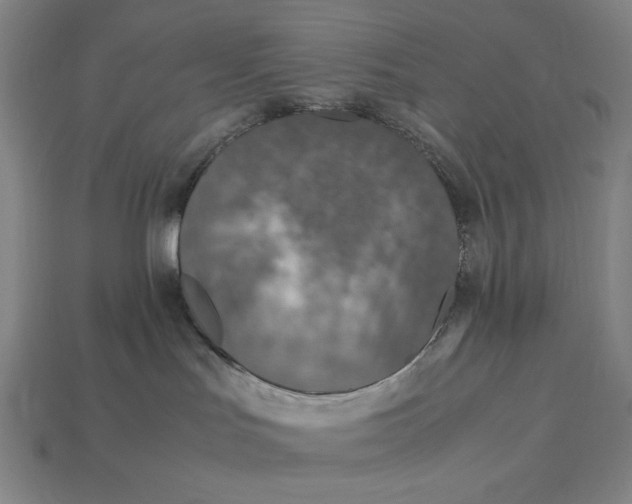 X0000113110047200909181637