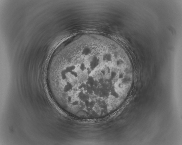 X0000113110049200909181636