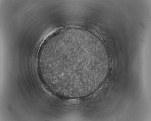 X0000113110050200909181636