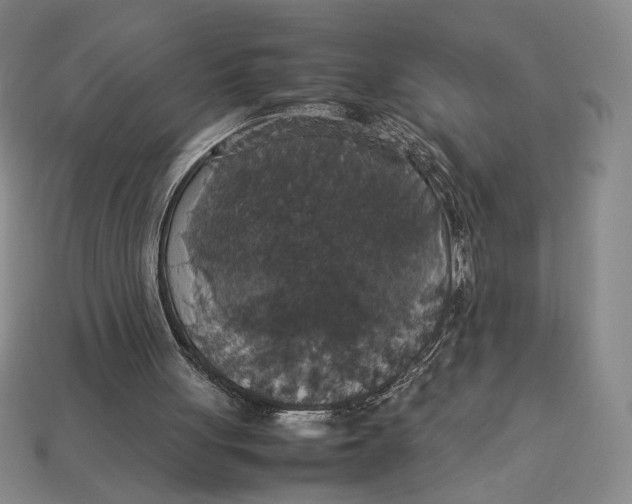 X0000113110051200909181636