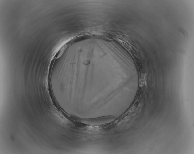 X0000113110052200909181636