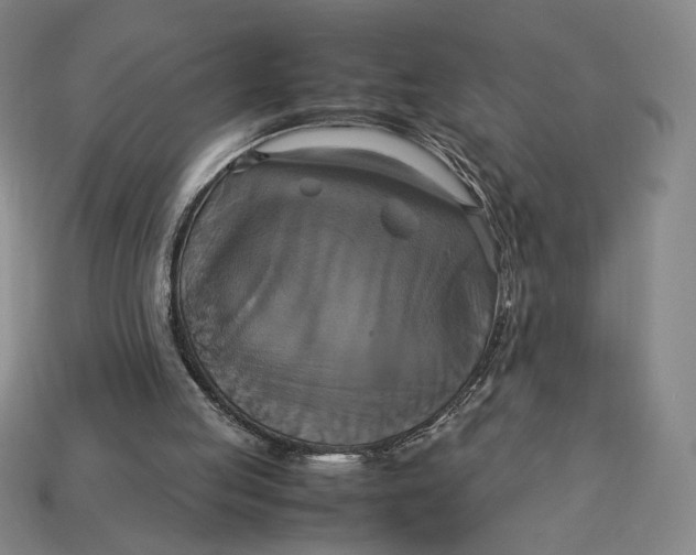 X0000113110053200909181636