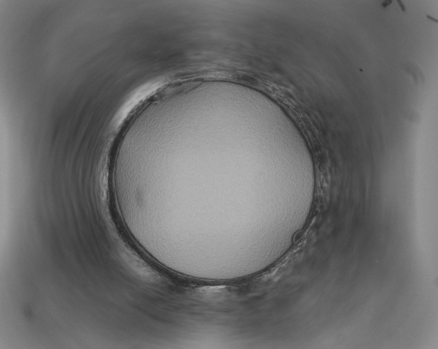 X0000113110054200909181637