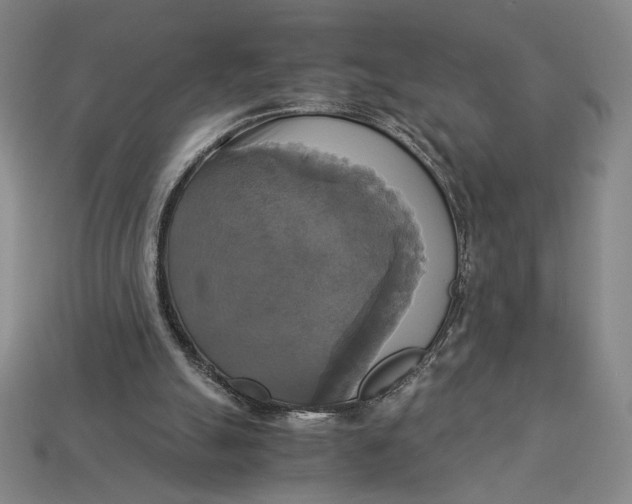 X0000113110055200909181637