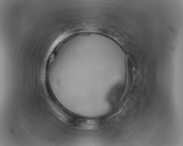 X0000113110056200909181637