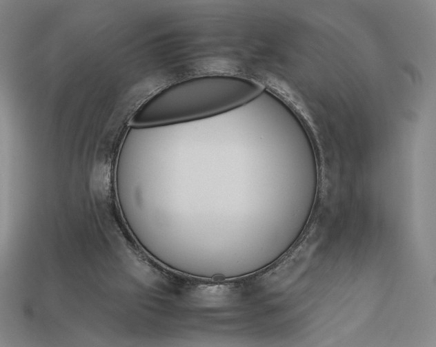 X0000113110057200909181637