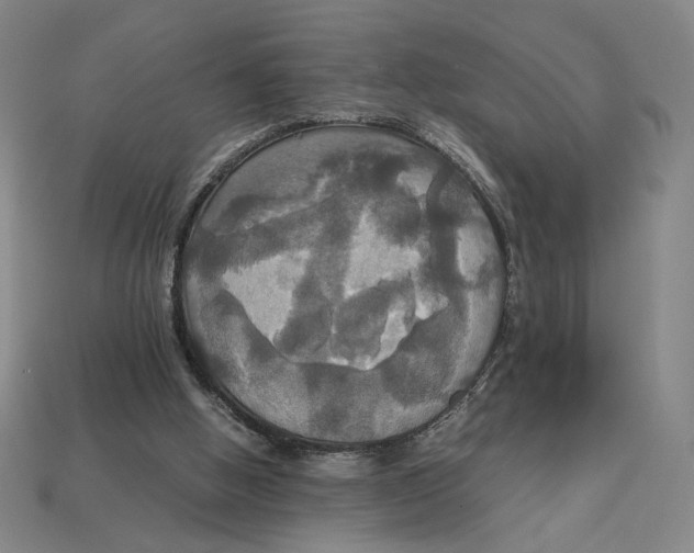 X0000113110058200909181637