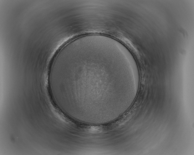 X0000113110060200909181637