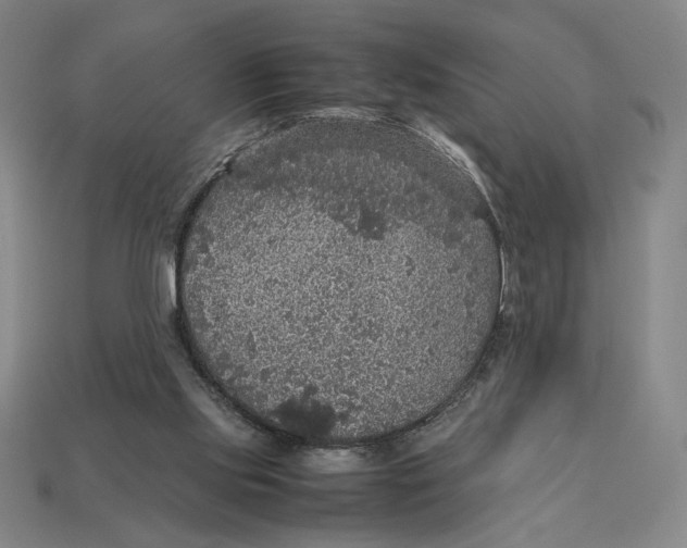 X0000113110061200909181637