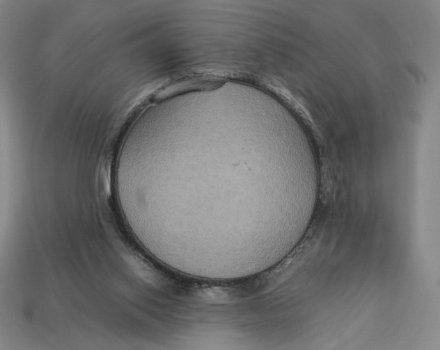 X0000113110062200909181637