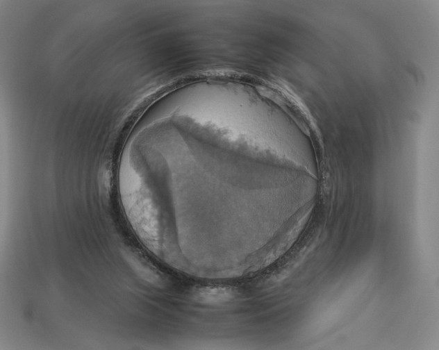 X0000113110063200909181637