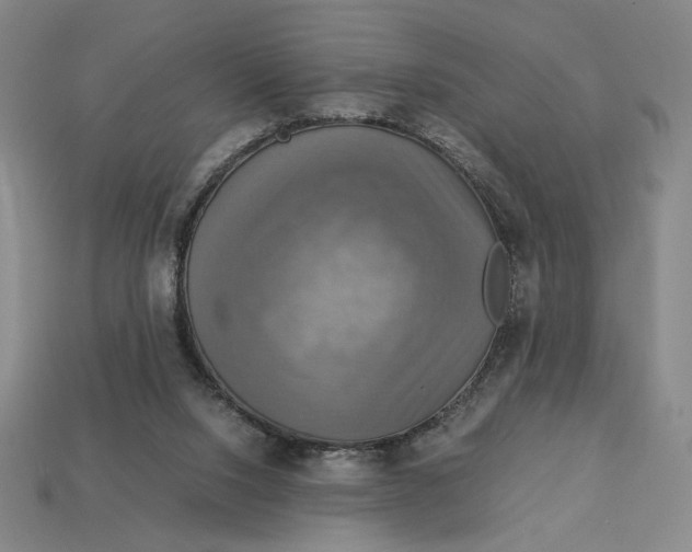 X0000113110064200909181637