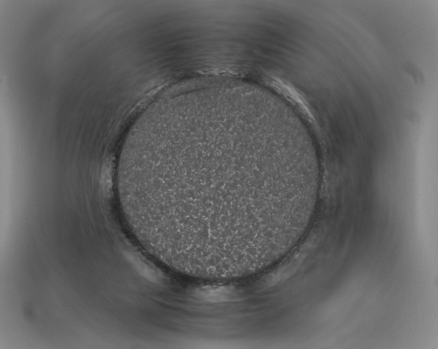 X0000113110065200909181637