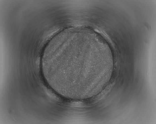 X0000113110066200909181637